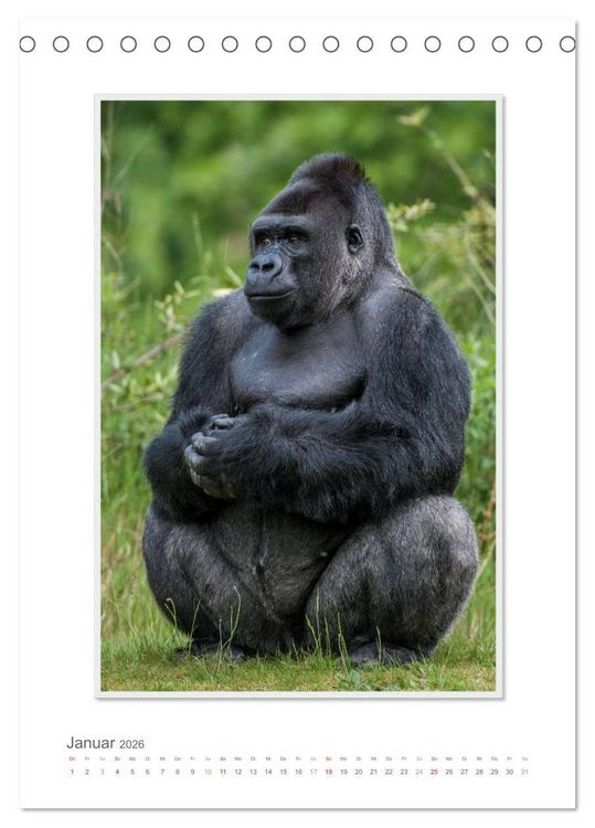 Produktbild: Emotionale Momente: Aus dem Leben der Familie Gorilla. (Tischkalender 2026 DIN A5 hoch), CALVENDO Monatskalender