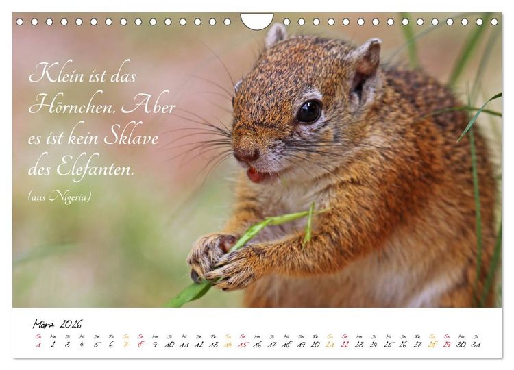 Produktbild: AFRIKA - Kontinent der Poesie (Wandkalender 2026 DIN A4 quer), CALVENDO Monatskalender
