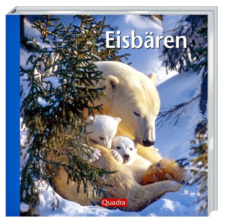 Produktbild: Eisb&auml;ren