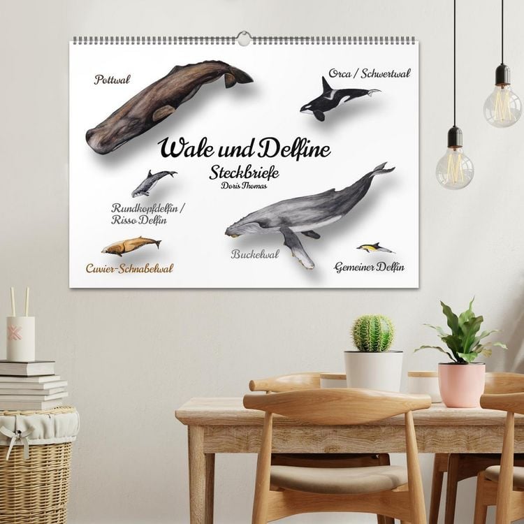 Produktbild: Wale und Delfine Steckbriefe (Wandkalender 2026 DIN A2 quer), CALVENDO Monatskalender