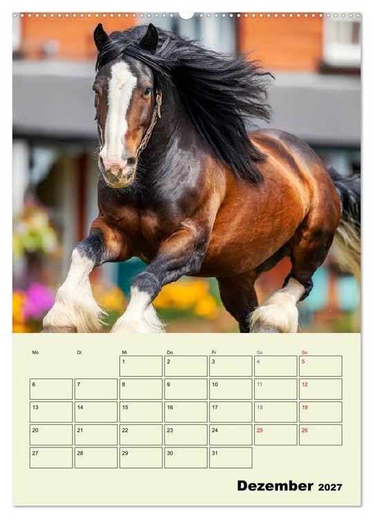 Produktbild: Shire Horse Magie. Englands sanfte Giganten (Wandkalender 2027 DIN A2 hoch), CALVENDO Monatskalender