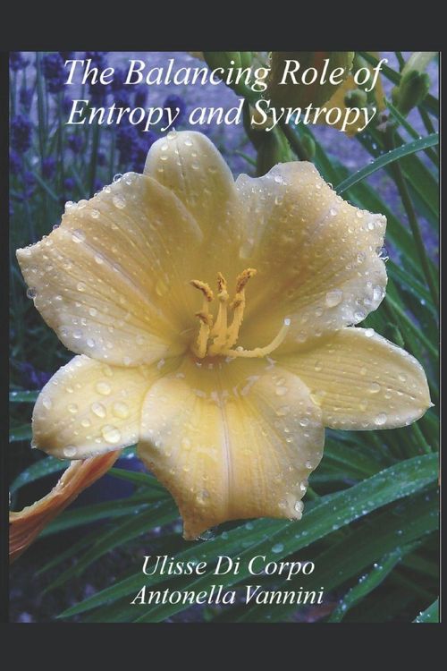 Produktbild: The balancing role of Entropy / Syntropy
