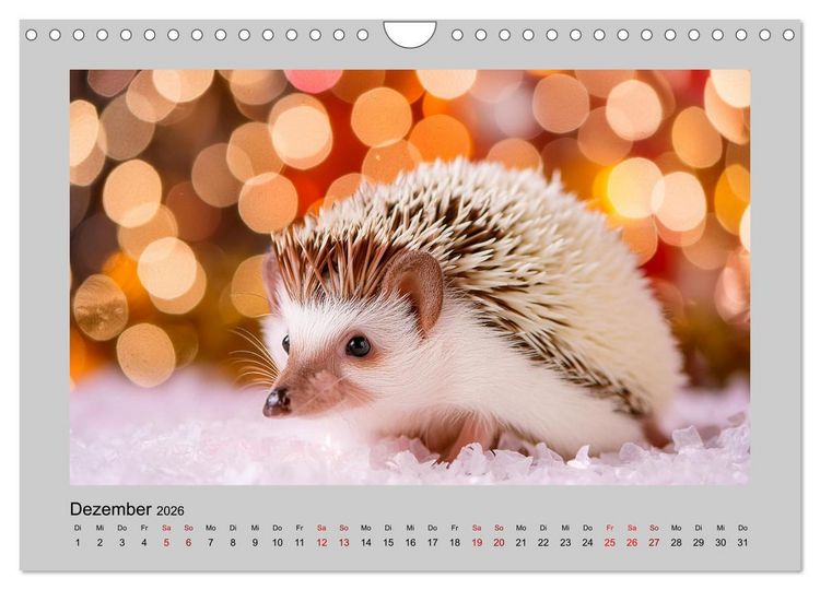 Produktbild: Mein Igel-Kalender (Wandkalender 2026 DIN A4 quer), CALVENDO Monatskalender