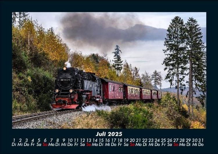 Produktbild: B&auml;ume 2025 Fotokalender DIN A5