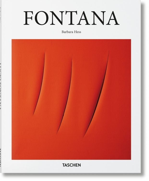Bild vom Artikel Fontana vom Autor Barbara Hess