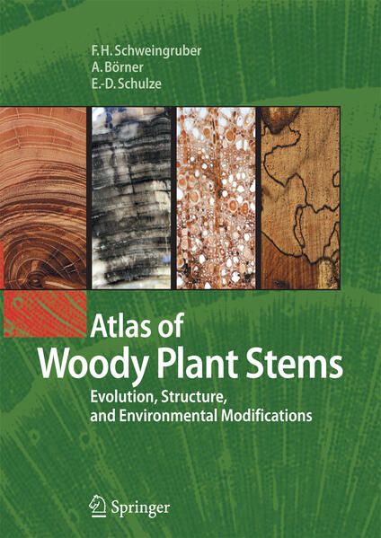 Produktbild: Atlas of Woody Plant Stems
