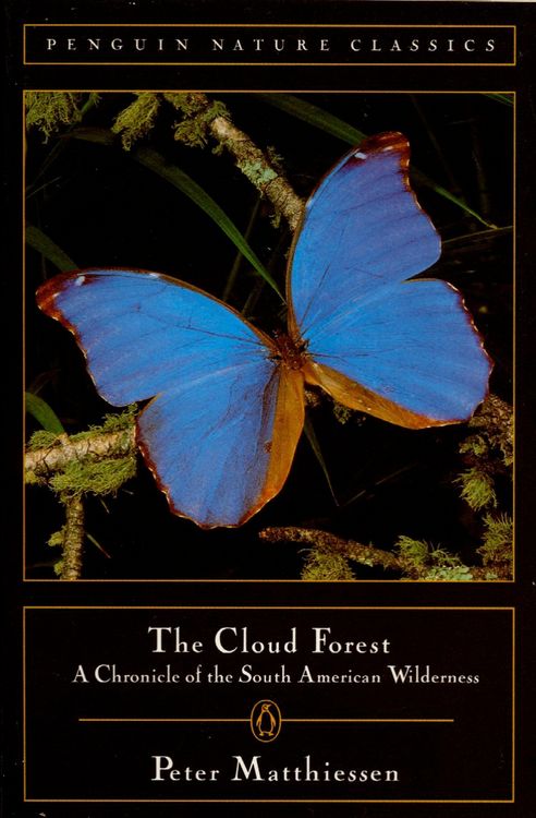 Produktbild: The Cloud Forest