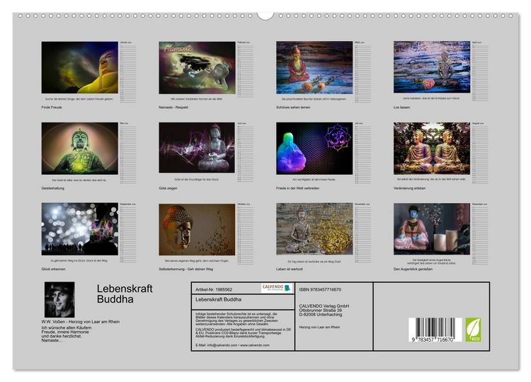 Produktbild: Lebenskraft Buddha (hochwertiger Premium Wandkalender 2026 DIN A2 quer), Kunstdruck in Hochglanz