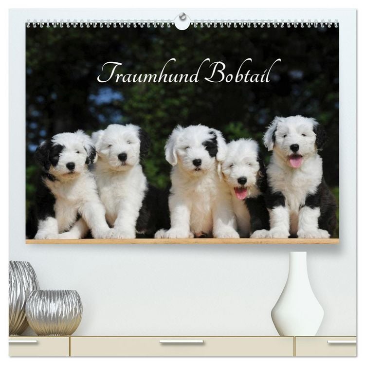 Produktbild: Traumhund Bobtail (hochwertiger Premium Wandkalender 2026 DIN A2 quer), Kunstdruck in Hochglanz
