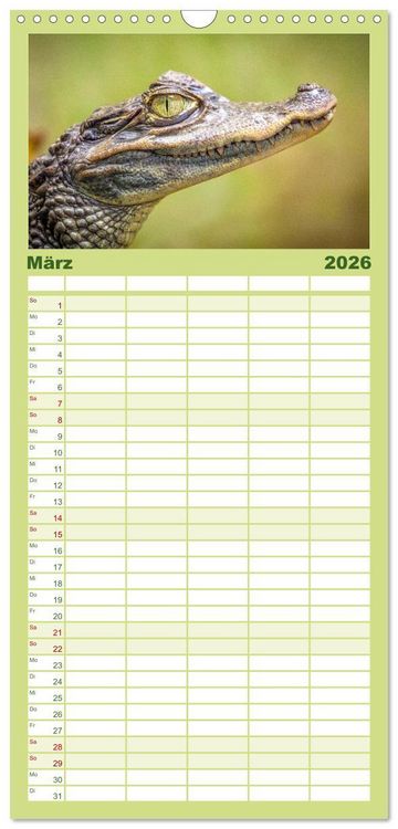 Produktbild: Familienplaner 2026 - Reptilien - Tierische Farbenpracht mit 5 Spalten (Wandkalender, 21 x 45 cm) CALVENDO