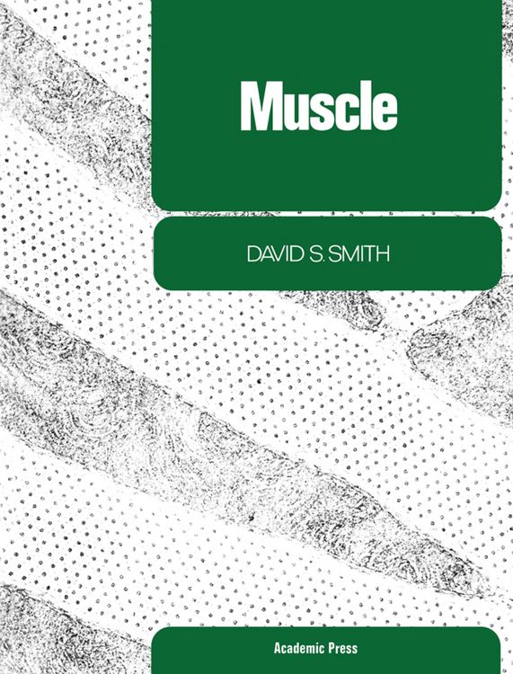 Produktbild: Muscle