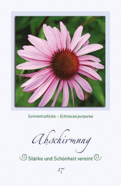 Produktbild: Magische Pflanzenbilder