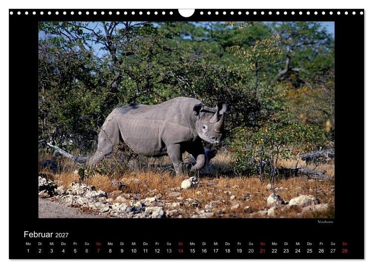 Produktbild: Wildtiere im Etosha Nationalpark (Wandkalender 2027 DIN A3 quer), CALVENDO Monatskalender