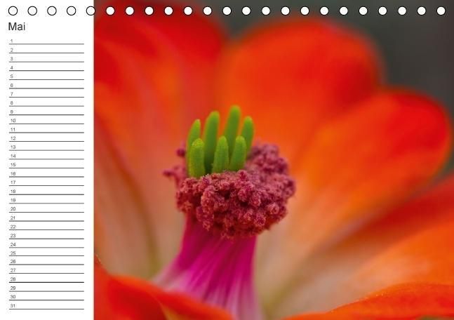 Produktbild: Ich denk an Dich ... Pers&ouml;nlicher Terminkalender (Tischkalender immerw&auml;hrend DIN A5 quer)