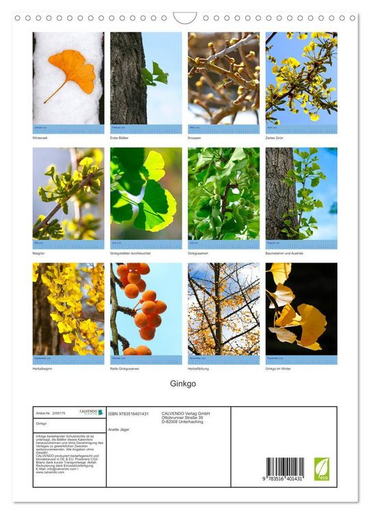 Produktbild: Ginkgo (Wandkalender 2026 DIN A3 hoch), CALVENDO Monatskalender
