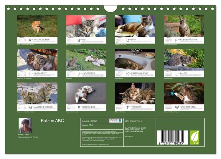 Produktbild: Katzen ABC (Wandkalender 2026 DIN A4 quer), CALVENDO Monatskalender