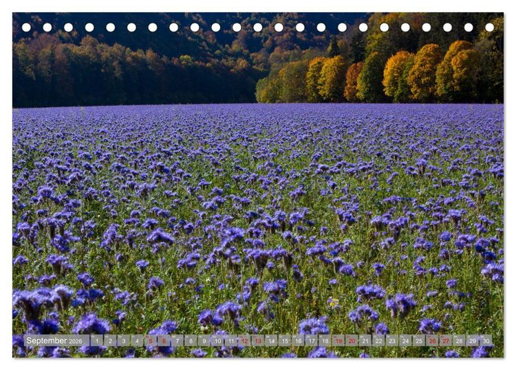Produktbild: Wundersch&ouml;ne schw&auml;bische Alb (Tischkalender 2026 DIN A5 quer), CALVENDO Monatskalender