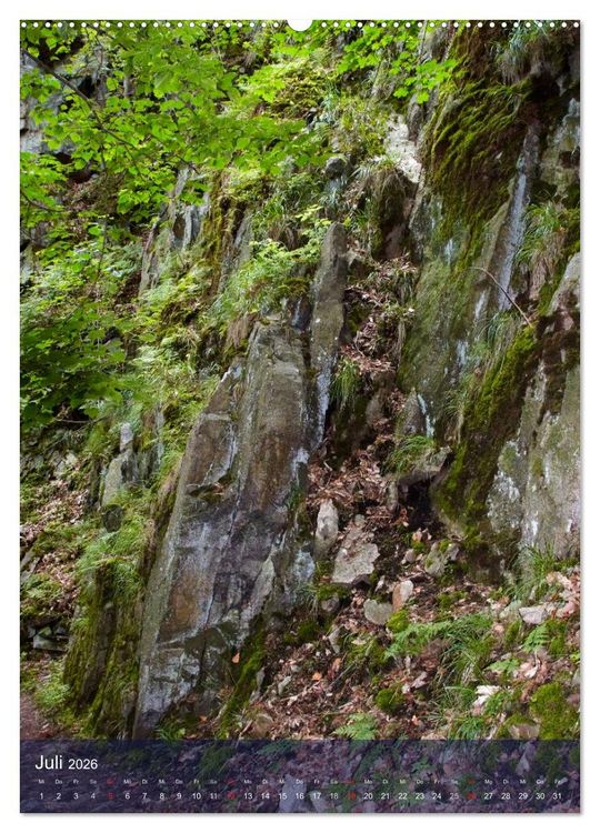 Produktbild: Wildes Bodetal (hochwertiger Premium Wandkalender 2026 DIN A2 hoch), Kunstdruck in Hochglanz