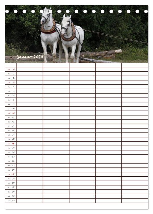 Produktbild: Der Kaltblut-Familienplaner (Tischkalender 2026 DIN A5 hoch), CALVENDO Monatskalender