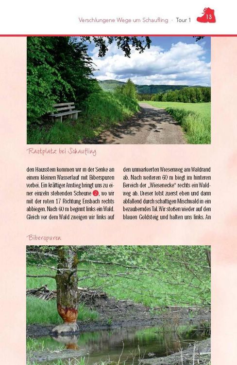 Produktbild: Wandern im Bayerischen Wald