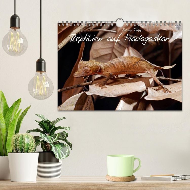Produktbild: Reptilien auf Madagaskar (Wandkalender 2027 DIN A4 quer), CALVENDO Monatskalender