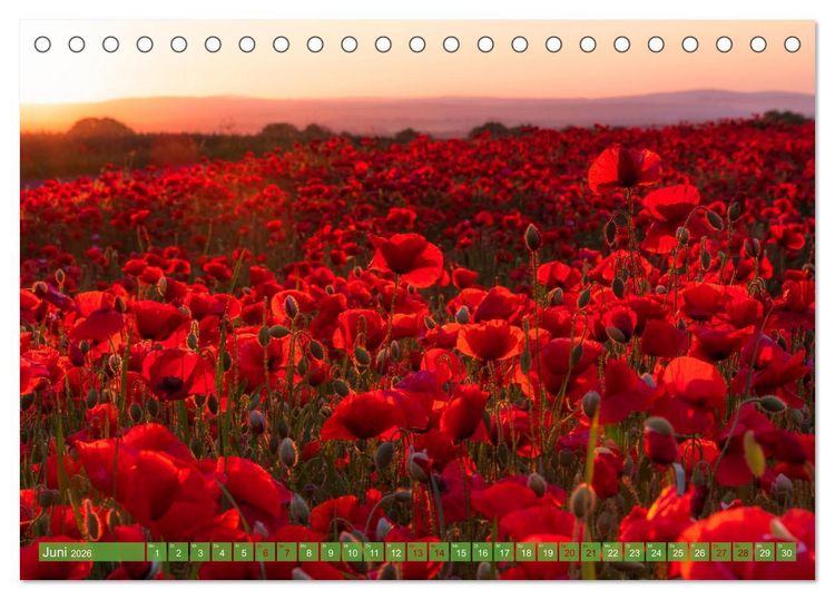 Produktbild: Stille Naturmomente (Tischkalender 2026 DIN A5 quer), CALVENDO Monatskalender