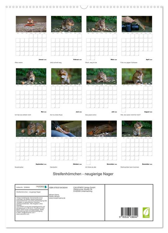 Produktbild: Streifenh&ouml;rnchen - neugierige Nager (hochwertiger Premium Wandkalender 2026 DIN A2 hoch), Kunstdruck in Hochglanz