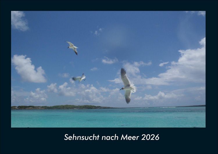 Produktbild: Sehnsucht nach Meer 2026 Fotokalender DIN A4