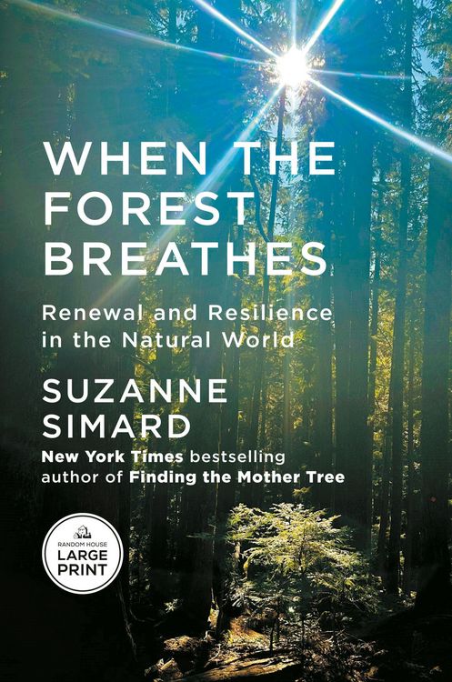 Produktbild: When the Forest Breathes