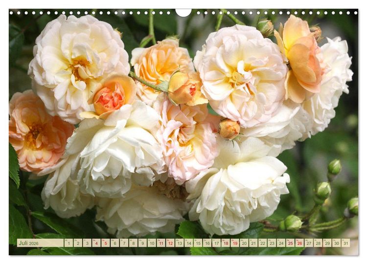Produktbild: Liebenswerte Bl&uuml;ten (Wandkalender 2026 DIN A3 quer), CALVENDO Monatskalender