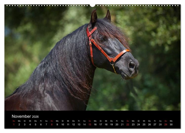 Produktbild: Spaniens stolze Pferde (hochwertiger Premium Wandkalender 2026 DIN A2 quer), Kunstdruck in Hochglanz