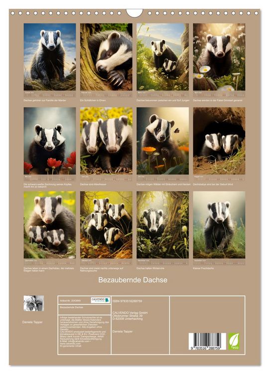 Produktbild: Bezaubernde Dachse (Wandkalender 2026 DIN A3 hoch), CALVENDO Monatskalender