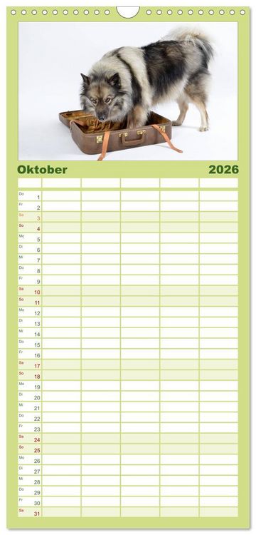 Produktbild: Familienplaner 2026 - Der Wolfsspitz mit 5 Spalten (Wandkalender, 21 x 45 cm) CALVENDO