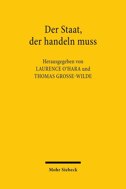 Produktbild: Der Staat, der handeln muss