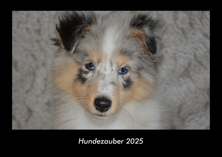 Produktbild: Hundezauber 2025 Fotokalender DIN A3
