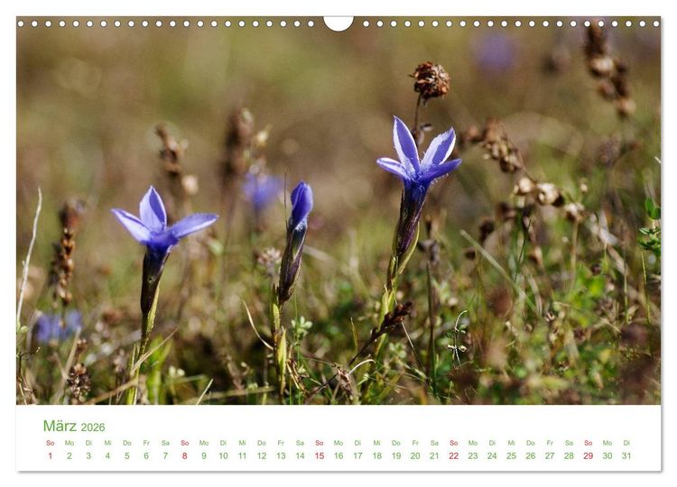 Produktbild: Bergwelt in &Ouml;sterreich (Wandkalender 2026 DIN A3 quer), CALVENDO Monatskalender