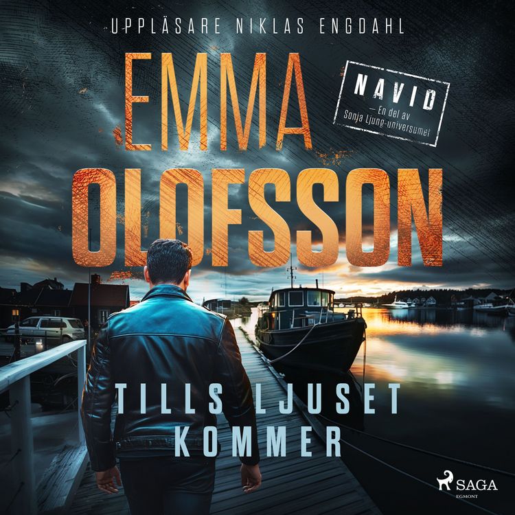 Produktbild: Tills ljuset kommer