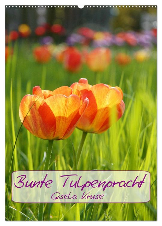 Produktbild: Bunte Tulpenpracht (Wandkalender 2026 DIN A2 hoch), CALVENDO Monatskalender