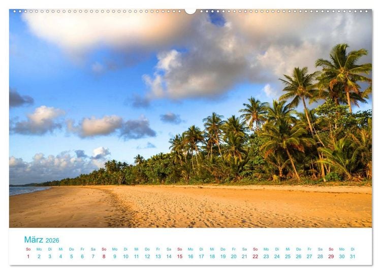 Produktbild: Unter Palmen 2026. Impressionen von den sch&ouml;nsten Str&auml;nden der Welt (Wandkalender 2026 DIN A2 quer), CALVENDO Monatskalender