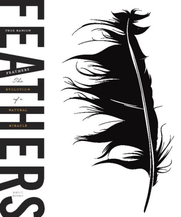 Produktbild: Feathers