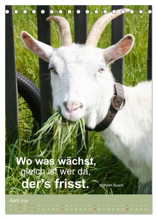 Produktbild: Nimm das Leben leicht, auch wenn's manchmal schwerf&auml;llt (Tischkalender 2026 DIN A5 hoch), CALVENDO Monatskalender