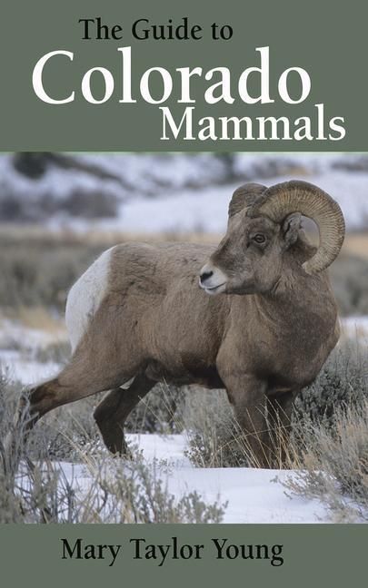 Produktbild: The Guide to Colorado Mammals