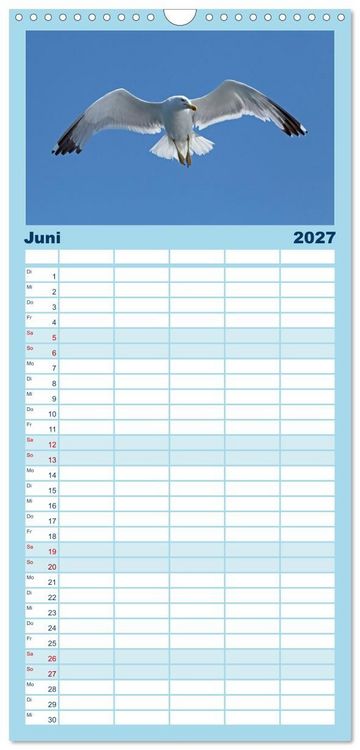 Produktbild: Familienplaner 2027 - V&ouml;gel im Flug - Akrobaten der L&uuml;fte mit 5 Spalten (Wandkalender, 21 x 45 cm) CALVENDO