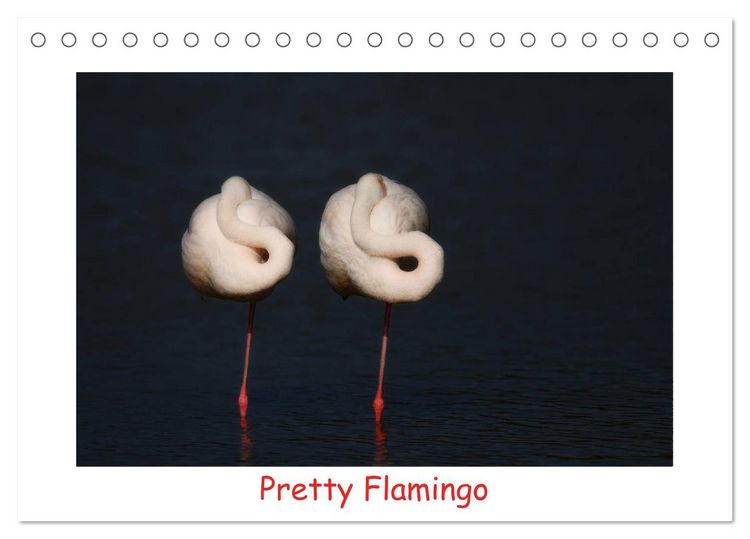 Produktbild: Pretty Flamingo (Tischkalender 2026 DIN A5 quer), CALVENDO Monatskalender