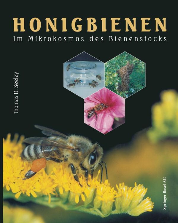 Produktbild: Honigbienen