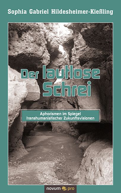 Produktbild: Der lautlose Schrei