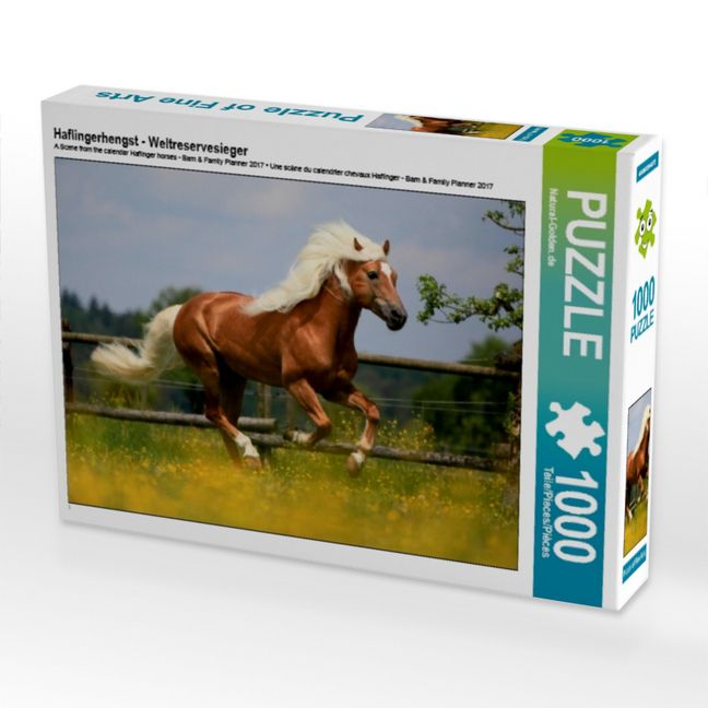 Produktbild: CALVENDO Puzzle Haflingerhengst - Weltreservesieger | 1000 Teile Lege-Gr&ouml;&szlig;e 64x48cm Foto-Puzzle f&uuml;r gl&uuml;ckliche Stunden