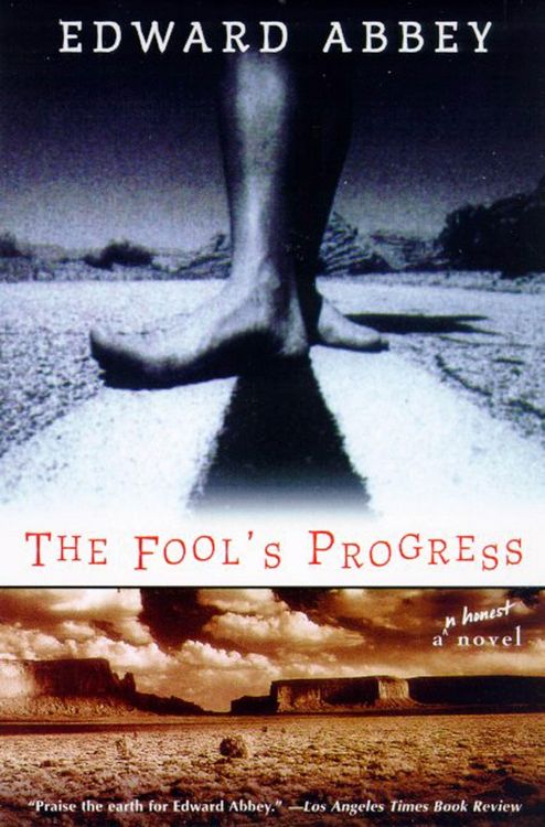 Produktbild: The Fool's Progress