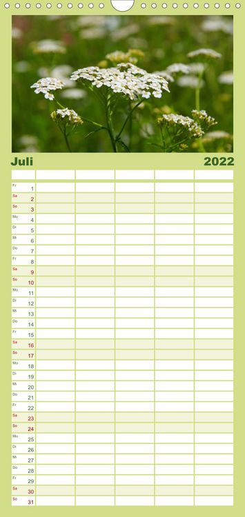 Produktbild: Familienplaner Arzneipflanzen (Wandkalender 2022 , 21 cm x 45 cm, hoch)