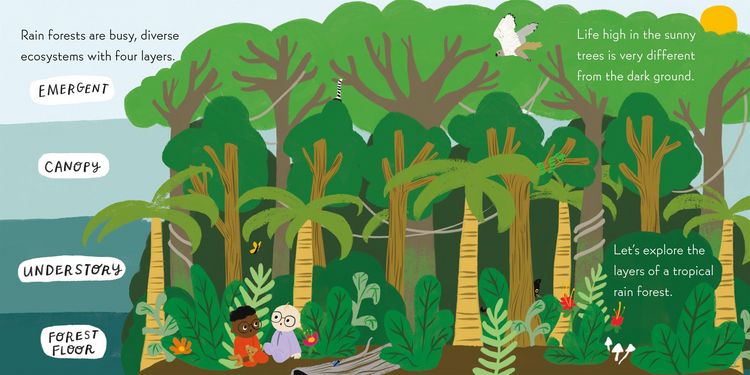 Produktbild: Nerdy Babies: Rain Forests